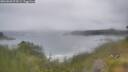 ./images/calvert/foggy-cove/20260628/foggy-cove20260628_074501M.jpg