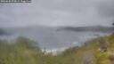 ./images/calvert/foggy-cove/20260628/foggy-cove20260628_075002M.jpg