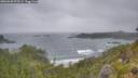 ./images/calvert/foggy-cove/20260628/foggy-cove20260628_075501M.jpg