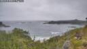 ./images/calvert/foggy-cove/20260628/foggy-cove20260628_080001M.jpg