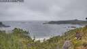 ./images/calvert/foggy-cove/20260628/foggy-cove20260628_080501M.jpg