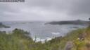 ./images/calvert/foggy-cove/20260628/foggy-cove20260628_081001M.jpg