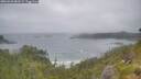 ./images/calvert/foggy-cove/20260628/foggy-cove20260628_081501M.jpg