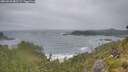 ./images/calvert/foggy-cove/20260628/foggy-cove20260628_082501M.jpg