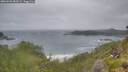 ./images/calvert/foggy-cove/20260628/foggy-cove20260628_083001M.jpg