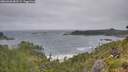 ./images/calvert/foggy-cove/20260628/foggy-cove20260628_083501M.jpg