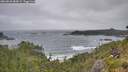 ./images/calvert/foggy-cove/20260628/foggy-cove20260628_084501M.jpg