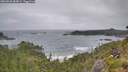 ./images/calvert/foggy-cove/20260628/foggy-cove20260628_085001M.jpg