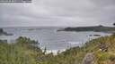 ./images/calvert/foggy-cove/20260628/foggy-cove20260628_085501M.jpg