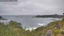 ./images/calvert/foggy-cove/20260628/foggy-cove20260628_090001M.jpg