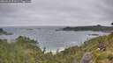 ./images/calvert/foggy-cove/20260628/foggy-cove20260628_091001M.jpg