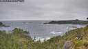 ./images/calvert/foggy-cove/20260628/foggy-cove20260628_091501M.jpg