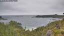 ./images/calvert/foggy-cove/20260628/foggy-cove20260628_092001M.jpg