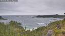 ./images/calvert/foggy-cove/20260628/foggy-cove20260628_092501M.jpg