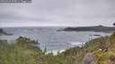 ./images/calvert/foggy-cove/20260628/foggy-cove20260628_093001M.jpg