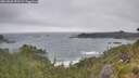 ./images/calvert/foggy-cove/20260628/foggy-cove20260628_093501M.jpg