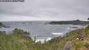 ./images/calvert/foggy-cove/20260628/foggy-cove20260628_094001M.jpg
