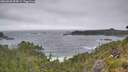 ./images/calvert/foggy-cove/20260628/foggy-cove20260628_094501M.jpg