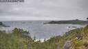 ./images/calvert/foggy-cove/20260628/foggy-cove20260628_095001M.jpg