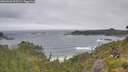 ./images/calvert/foggy-cove/20260628/foggy-cove20260628_095502M.jpg