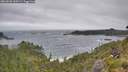 ./images/calvert/foggy-cove/20260628/foggy-cove20260628_100501M.jpg