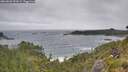 ./images/calvert/foggy-cove/20260628/foggy-cove20260628_101001M.jpg