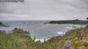 ./images/calvert/foggy-cove/20260628/foggy-cove20260628_101501M.jpg