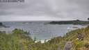 ./images/calvert/foggy-cove/20260628/foggy-cove20260628_102501M.jpg