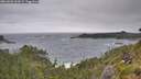 ./images/calvert/foggy-cove/20260628/foggy-cove20260628_103501M.jpg