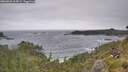 ./images/calvert/foggy-cove/20260628/foggy-cove20260628_104501M.jpg