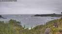 ./images/calvert/foggy-cove/20260628/foggy-cove20260628_105502M.jpg