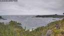 ./images/calvert/foggy-cove/20260628/foggy-cove20260628_110001M.jpg