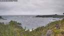 ./images/calvert/foggy-cove/20260628/foggy-cove20260628_110501M.jpg