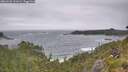 ./images/calvert/foggy-cove/20260628/foggy-cove20260628_111001M.jpg