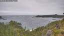 ./images/calvert/foggy-cove/20260628/foggy-cove20260628_111501M.jpg