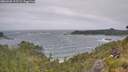 ./images/calvert/foggy-cove/20260628/foggy-cove20260628_112502M.jpg