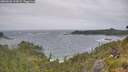 ./images/calvert/foggy-cove/20260628/foggy-cove20260628_113001M.jpg