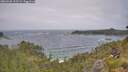 ./images/calvert/foggy-cove/20260628/foggy-cove20260628_113501M.jpg