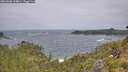 ./images/calvert/foggy-cove/20260628/foggy-cove20260628_114001M.jpg