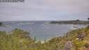 ./images/calvert/foggy-cove/20260628/foggy-cove20260628_114501M.jpg
