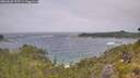 ./images/calvert/foggy-cove/20260628/foggy-cove20260628_115501M.jpg