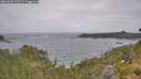 ./images/calvert/foggy-cove/20260628/foggy-cove20260628_120501M.jpg