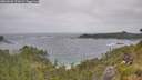 ./images/calvert/foggy-cove/20260628/foggy-cove20260628_121002M.jpg