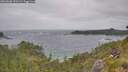 ./images/calvert/foggy-cove/20260628/foggy-cove20260628_121501M.jpg