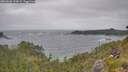 ./images/calvert/foggy-cove/20260628/foggy-cove20260628_122001M.jpg