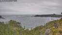 ./images/calvert/foggy-cove/20260628/foggy-cove20260628_122501M.jpg