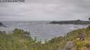 ./images/calvert/foggy-cove/20260628/foggy-cove20260628_123002M.jpg