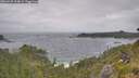 ./images/calvert/foggy-cove/20260628/foggy-cove20260628_124002M.jpg