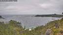 ./images/calvert/foggy-cove/20260628/foggy-cove20260628_124501M.jpg
