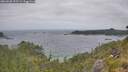 ./images/calvert/foggy-cove/20260628/foggy-cove20260628_131501M.jpg